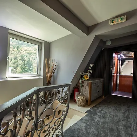 Hotel View Boutique 3*